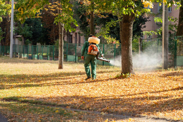 Best Flea Control Services  in Kaanapali, HI