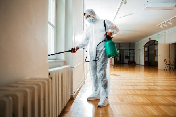 Professional Pest Control in Kaanapali, HI